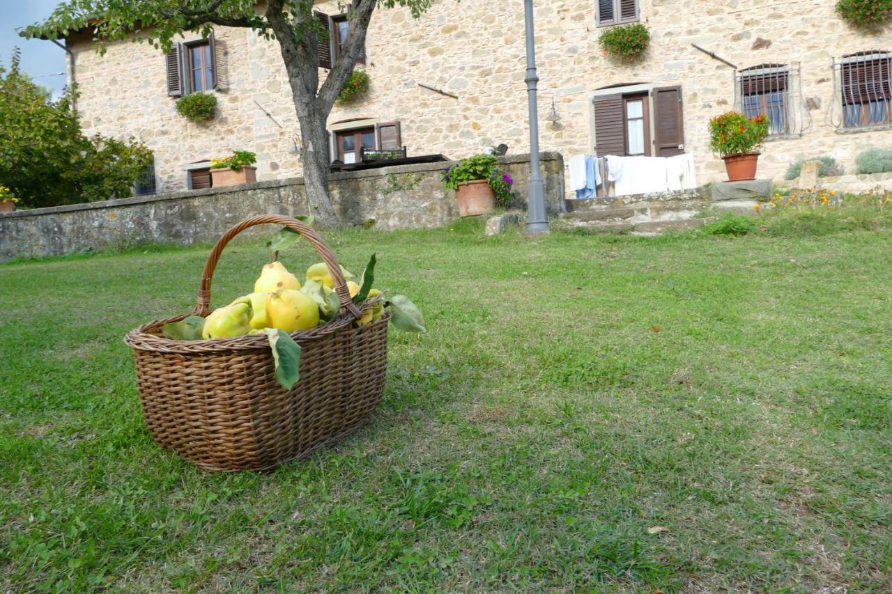 Agriturismo Braccicorti Пьеве-Фошиана Экстерьер фото
