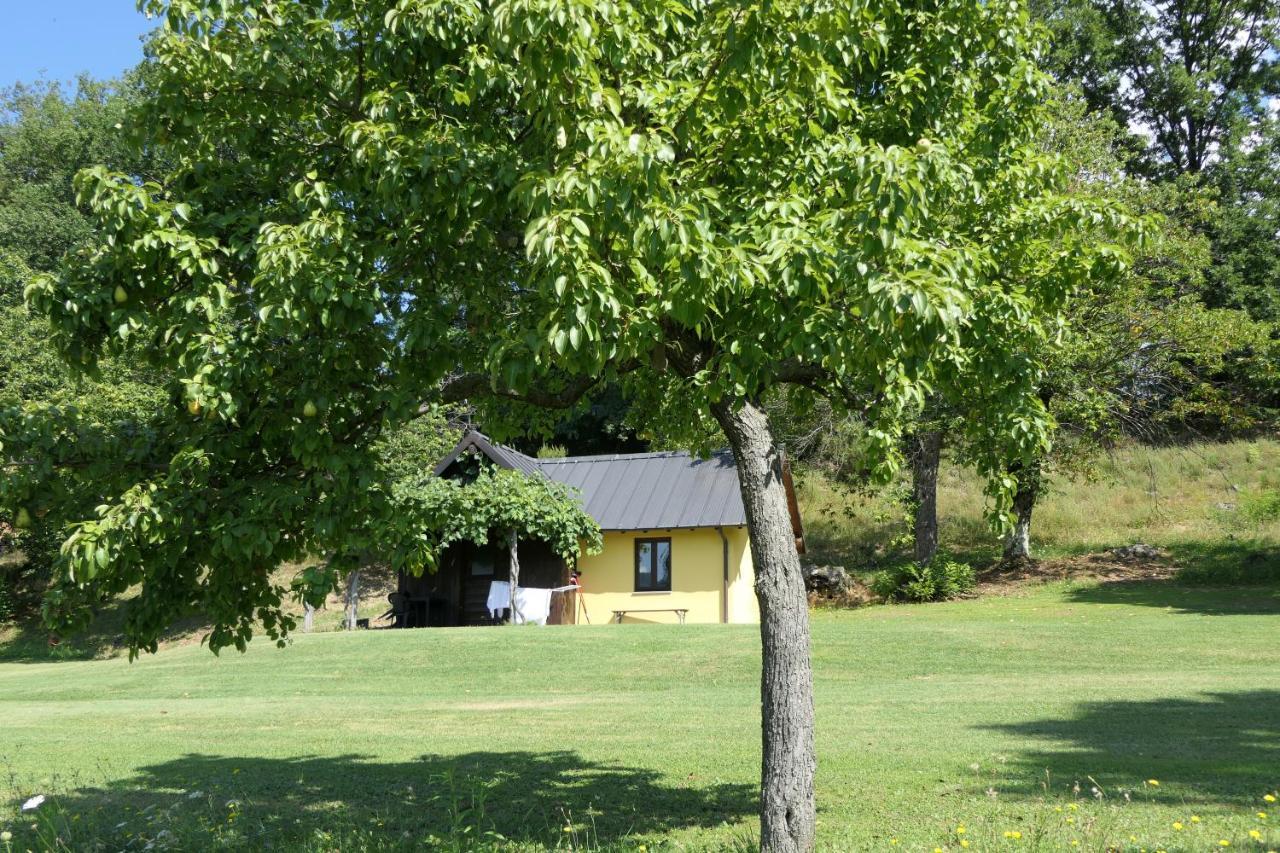 Agriturismo Braccicorti Пьеве-Фошиана Экстерьер фото