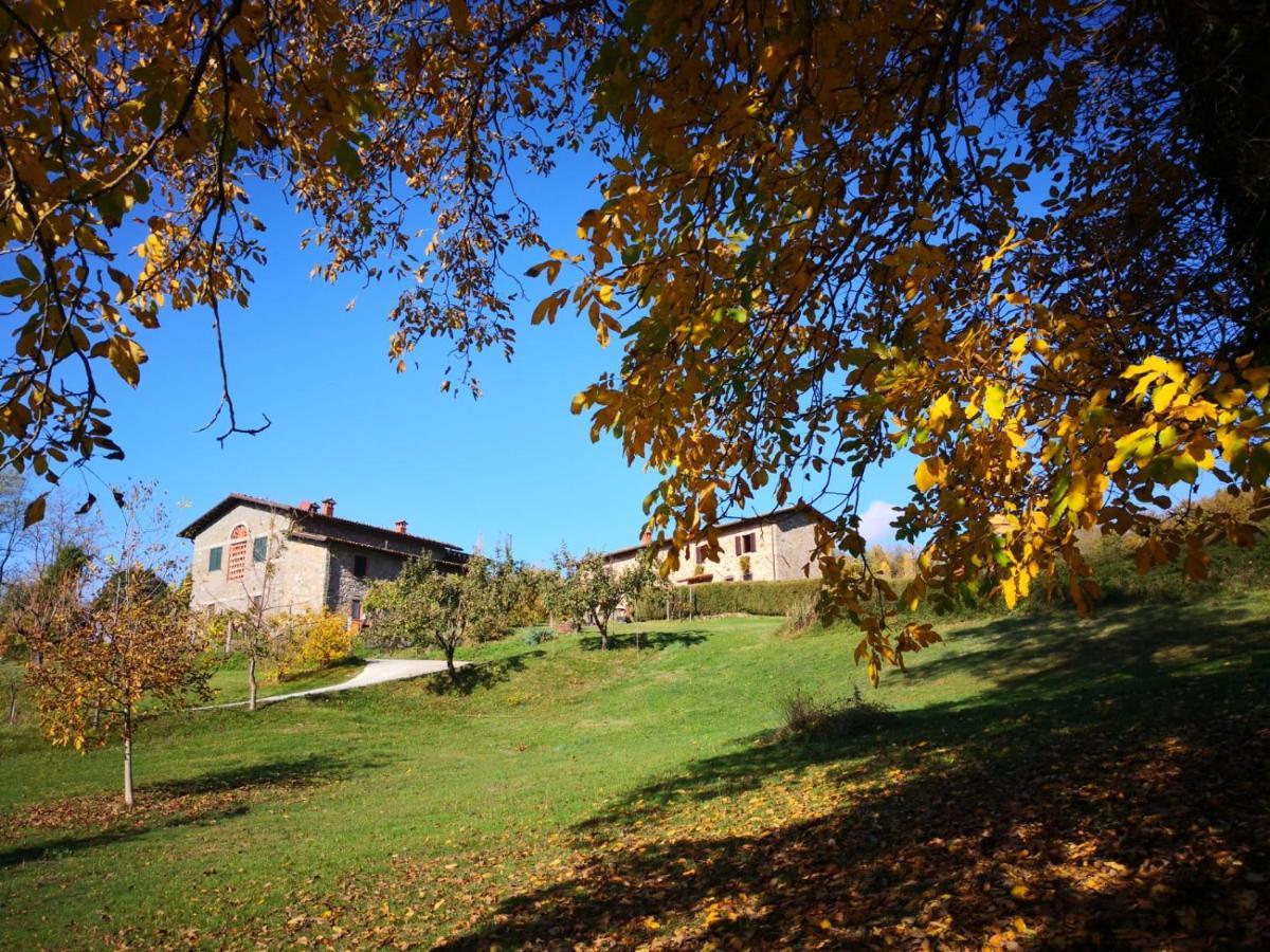 Agriturismo Braccicorti Пьеве-Фошиана Экстерьер фото
