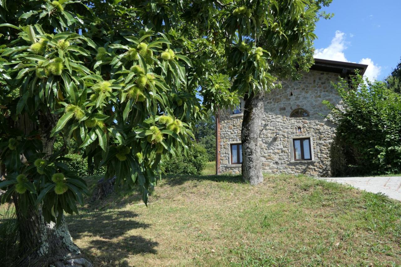Agriturismo Braccicorti Пьеве-Фошиана Экстерьер фото