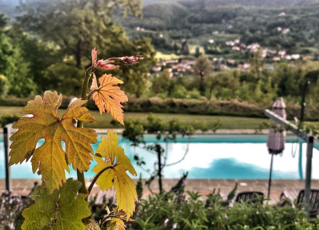 Agriturismo Braccicorti Пьеве-Фошиана Экстерьер фото