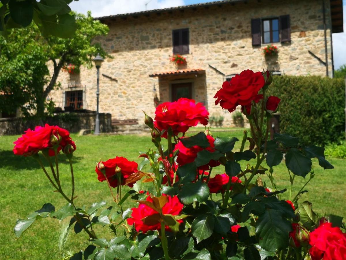 Agriturismo Braccicorti Пьеве-Фошиана Экстерьер фото