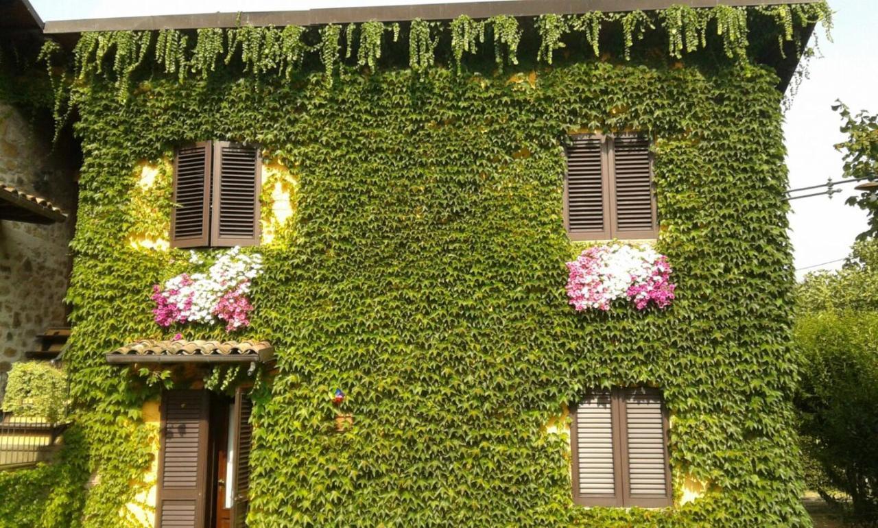 Agriturismo Braccicorti Пьеве-Фошиана Экстерьер фото
